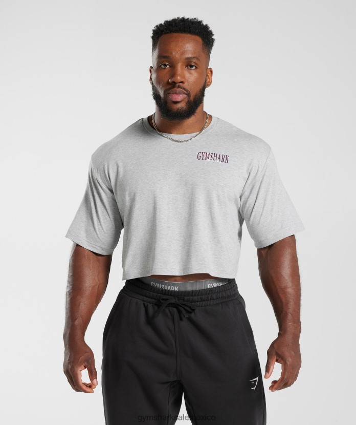 Gymshark camiseta corta con microondas Marga gris claro hombres 04BZTL588 - Gymshark Sale