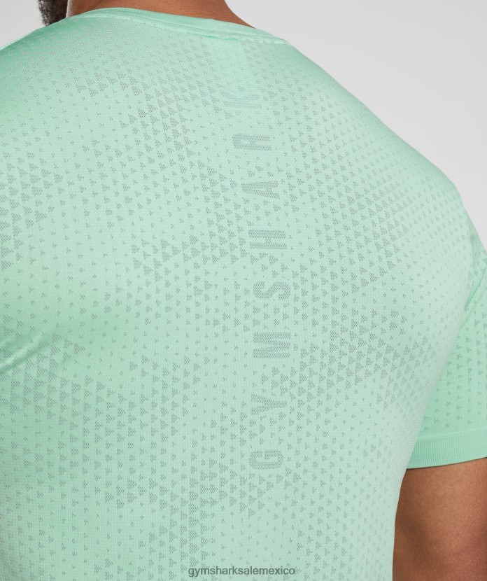 Gymshark camiseta deportiva sin costuras verde pastel/verde sauce hombres 04BZTL715 - Gymshark Hombre