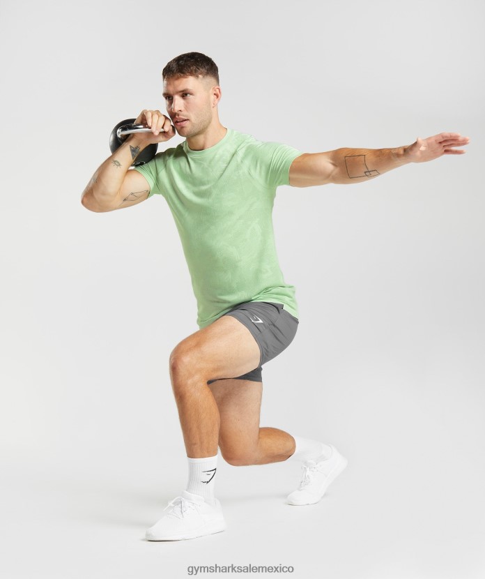 Gymshark camiseta geo sin costuras aloe verde/té verde hombres 04BZTL609 - Gymshark México