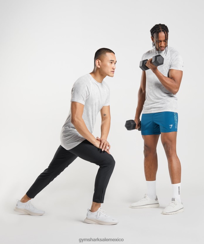 Gymshark camiseta geo sin costuras blanco roto/gris claro hombres 04BZTL618 - Gymshark Sale