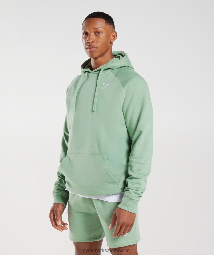 Gymshark sudadera con capucha con escudo verde salvia del desierto hombres 04BZTL823 - Gymshark Sale