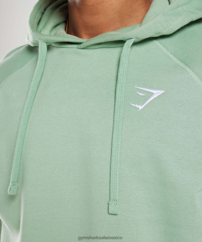 Gymshark sudadera con capucha con escudo verde salvia del desierto hombres 04BZTL823 - Gymshark Sale