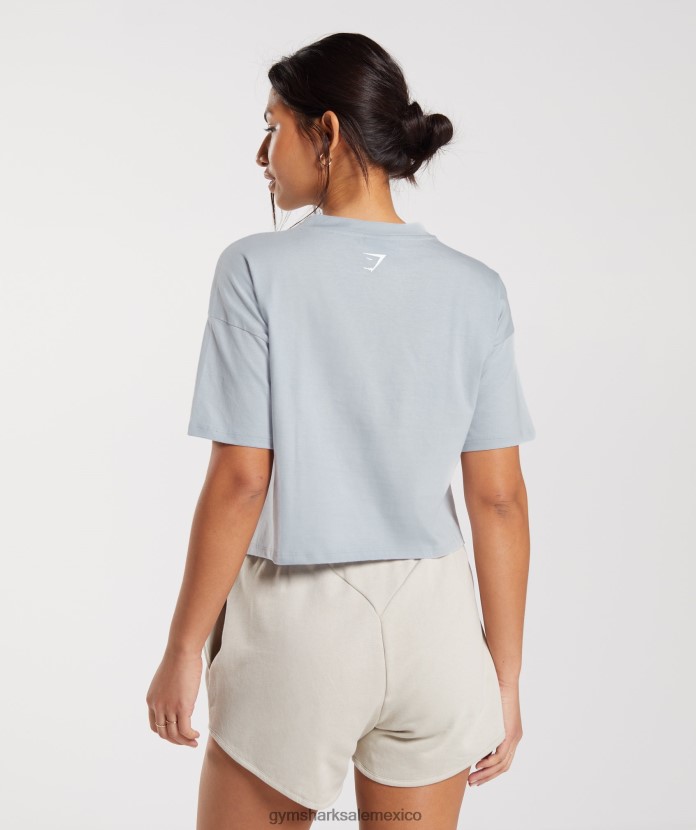 Gymshark camiseta midi con gráfico bordado gris piedra de río mujer 04BZTL486 - Gymshark Mujer