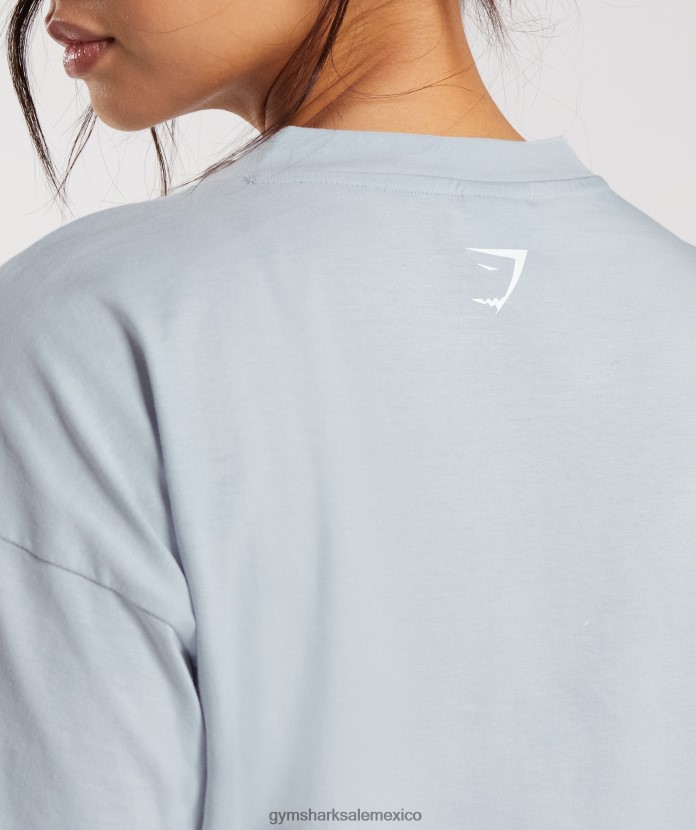 Gymshark camiseta midi con gráfico bordado gris piedra de río mujer 04BZTL486 - Gymshark Mujer