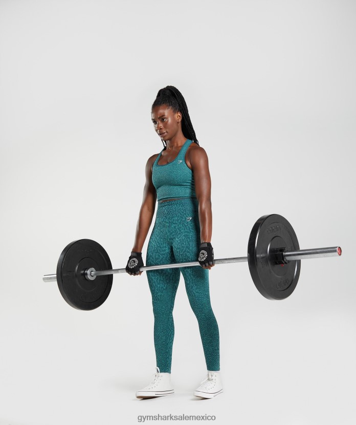 Gymshark adapta leggins sin costuras de animales arrecife | verde azulado de invierno mujer 04BZTL292 - Gymshark Mexico