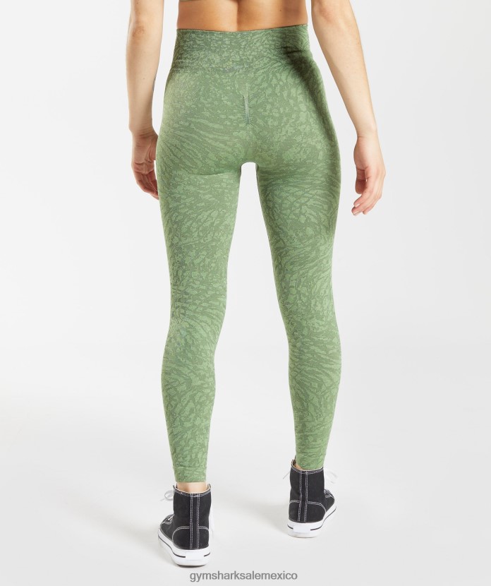 Gymshark adapta leggins sin costuras de animales salvaje | iguana verde mujer 04BZTL307 - Gymshark Mujer