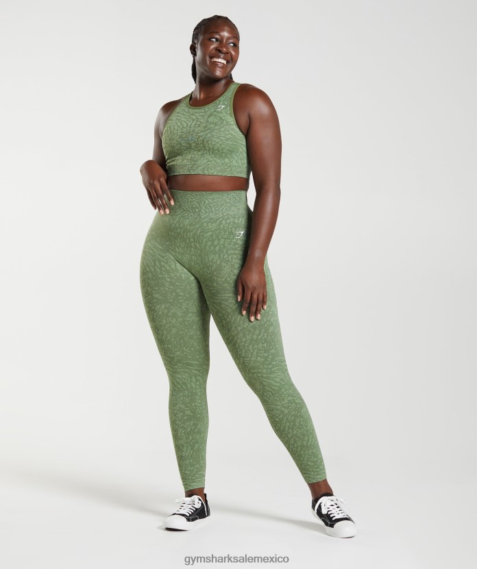 Gymshark adapta leggins sin costuras de animales salvaje | iguana verde mujer 04BZTL307 - Gymshark Mujer