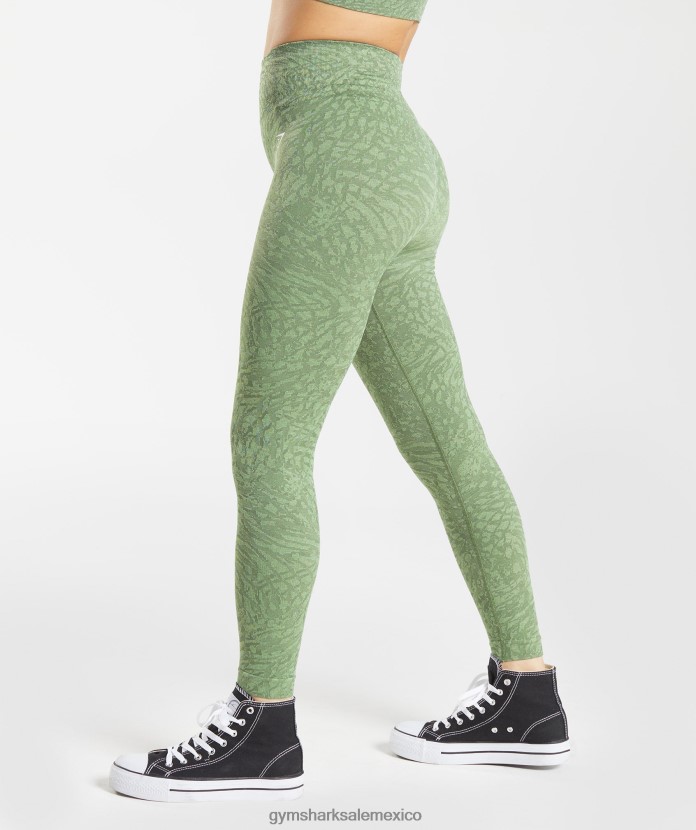 Gymshark adapta leggins sin costuras de animales salvaje | iguana verde mujer 04BZTL307 - Gymshark Mujer