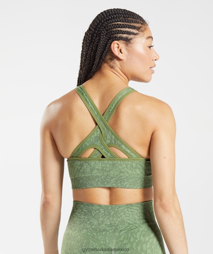 Gymshark sujetador deportivo sin costuras adapt animal salvaje | iguana verde mujer 04BZTL203 - Gymshark Sale