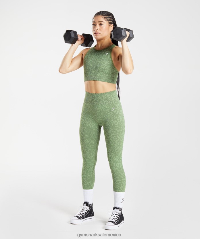 Gymshark sujetador deportivo sin costuras adapt animal salvaje | iguana verde mujer 04BZTL203 - Gymshark Sale
