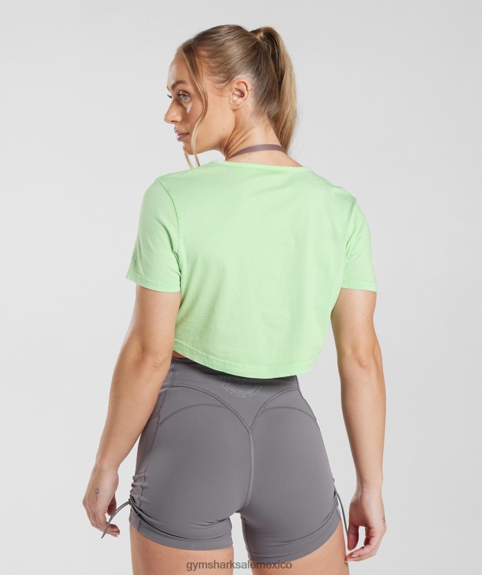 Gymshark top corto heredado verde menta fresca/lavado ácido mujer 04BZTL503 - Gymshark Sale