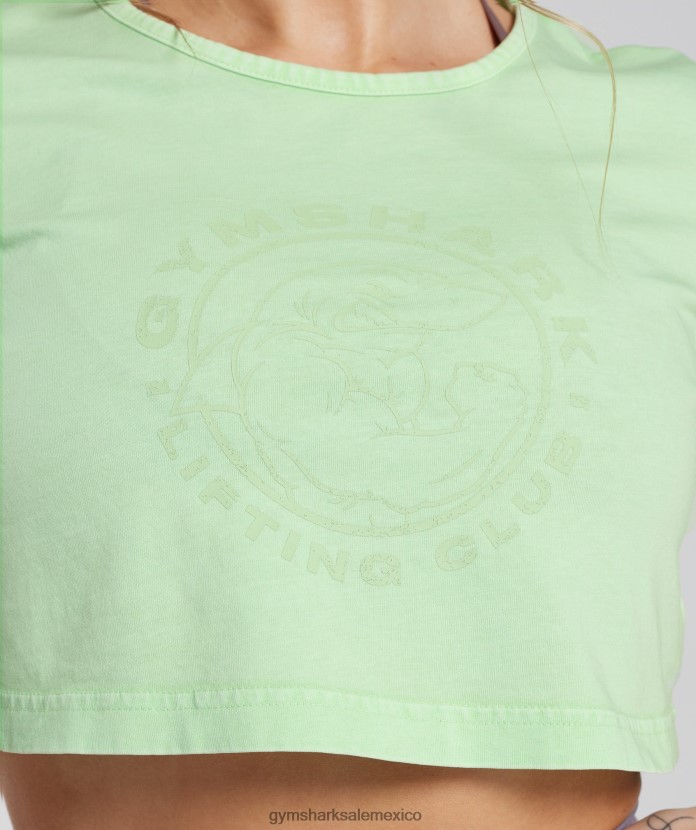 Gymshark top corto heredado verde menta fresca/lavado ácido mujer 04BZTL503 - Gymshark Sale